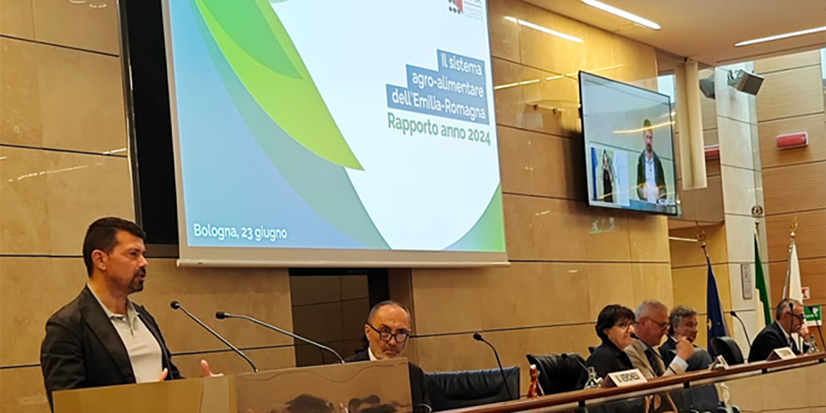 Frutta emiliano-romagnola, 2024 da record: +57% il valore della produzione